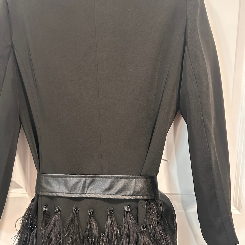 ZCRAVE Fifth Ave Feathers Dress - Picture 13 of 17